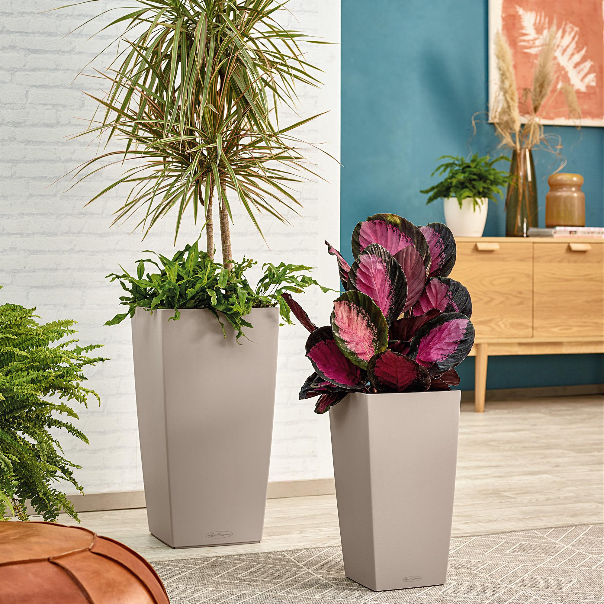 le_cubico-color40_product_addi_04